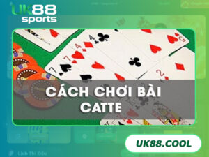 Hướng dẫn chi tiết cách chưng bài Catte từ cao thủ hàng đầu